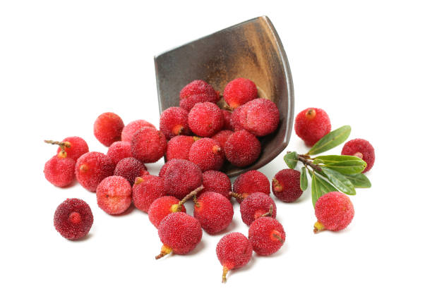 istock Myrica rubra on white background 970133446