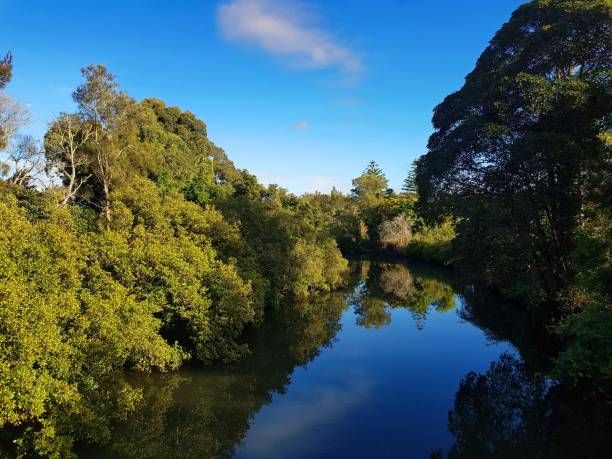 istock River and tree landscape, Browns Creek, Taree, Australia 970137262