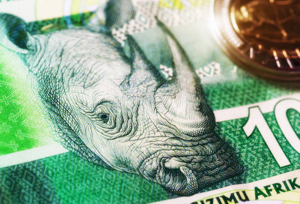 南アフリカ 10 ランド紙幣のサイ - ten rand note ストックフォトと画像