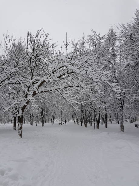 istock Winter in Moscow 970146998