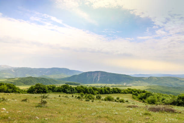 Green meadow on the background with distant mountains. Open field with green grass. Landscape photograpy.