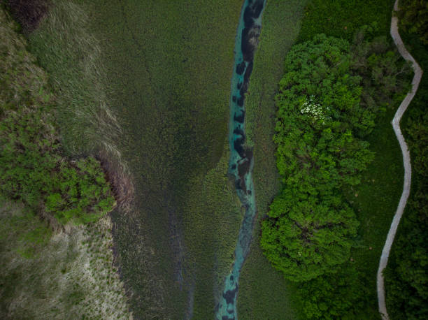 istock Natural pattern in Zelenci,Slovenia.Aerial drone view 970152532