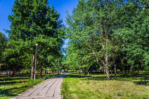 istock Sunny day in summer park 970160432