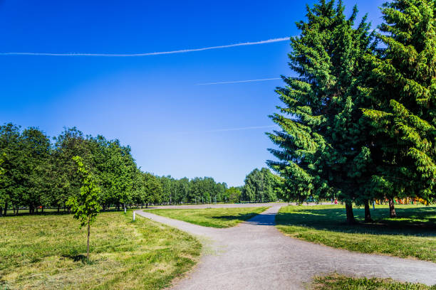 istock Sunny day in summer park 970161372