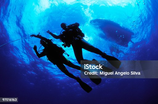 istock Silhouette of two divers in the middle of the blue sea 97016163