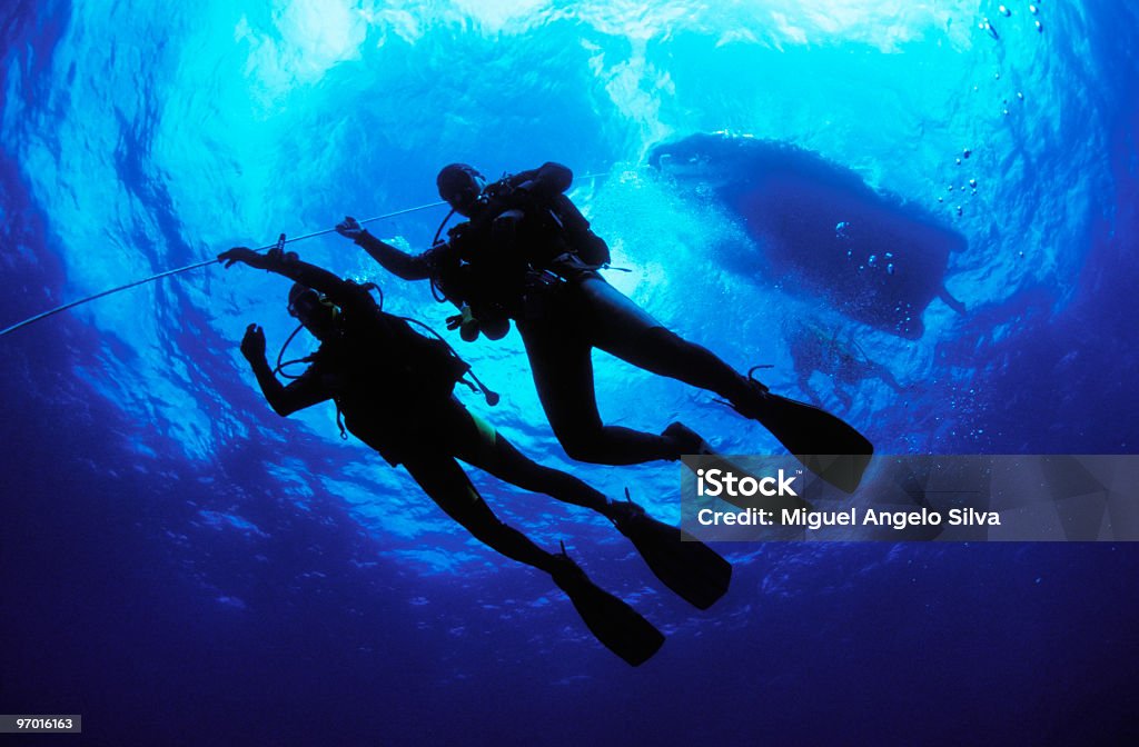 Silhouette of two divers in the middle of the blue sea Divers on the ascent line doing their decompression procedures after a dive in Porto Santo, Madeira Islands, Portugal  Scuba Diving Stock Photo