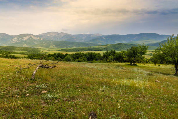 Green meadow on the background with distant mountains. Open field with green grass. Landscape photograpy.