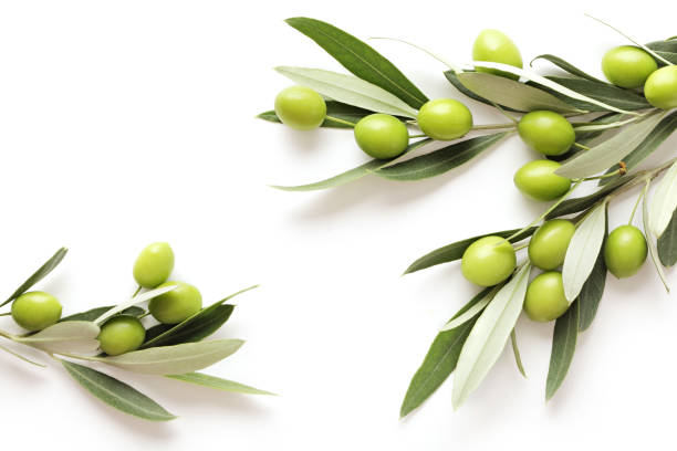 olives green olives on white background. copy space green olive fruit stock pictures, royalty-free photos & images
