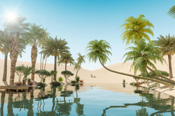 Oasis and Palm Trees in Desert, 3D Rendering Oasis and Palm Trees in Desert, 3D Rendering desert oasis stock pictures, royalty-free photos & images