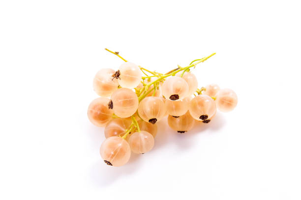 istock White currant berry isolated on white. 970176660