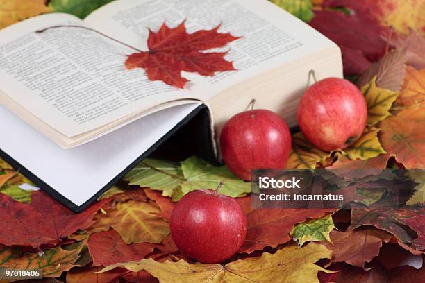 Photo libre de droit de Automne Le Livre Et Des Pommes Rouges banque d'images et plus d'images libres de droit de Aliment - Aliment, Automne, Beauté de la nature