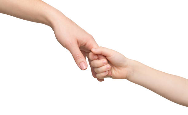 istock Kid holding mother's finger, isolated on white 970201638