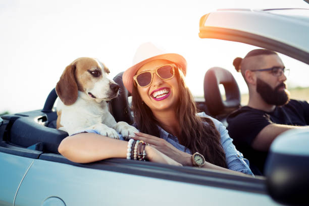 istock Enjoying your life in a cabriolet car 970204552