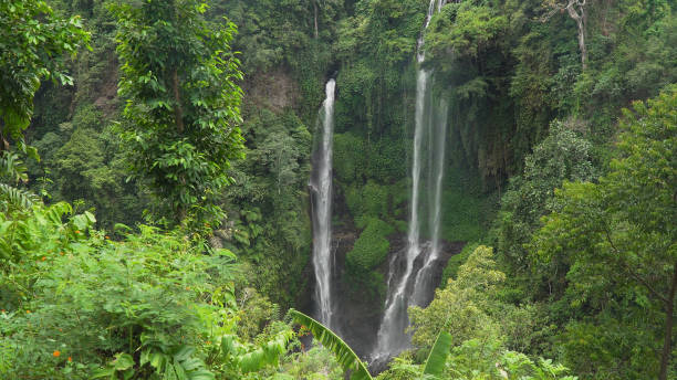 istock Beautiful tropical waterfall. Bali,Indonesia 970217754