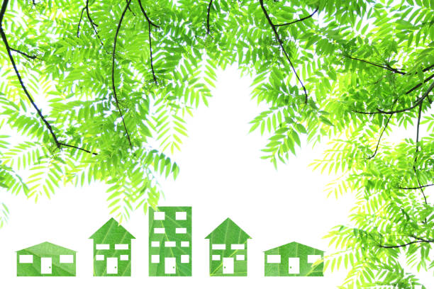 ecology image of  green leaves  and house