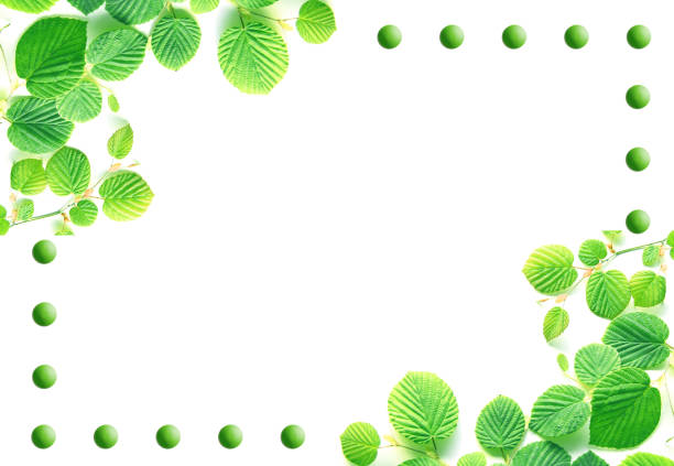 ecology image of  green leaves
