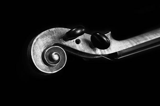 close-up on violin
