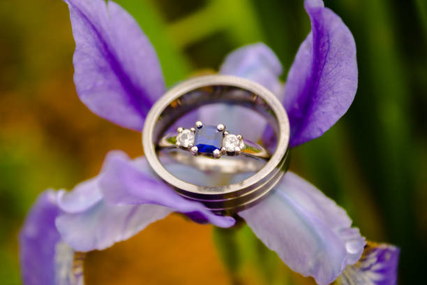 Bride and Groom rings set in a purple flower stock photo