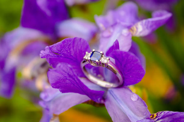 Engagement ring with diamonds and sapphire perched in a purple flower stock photo