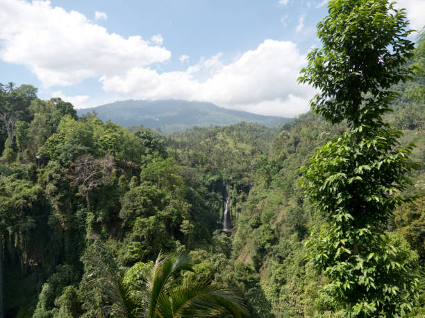istock Beautiful tropical waterfall. Bali,Indonesia 970225228