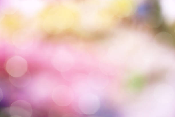 istock pink color abstract background with blurred defocus bokeh light for template 970225312