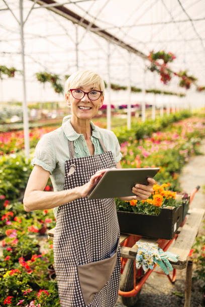 istock Senior woman gardener 970225782