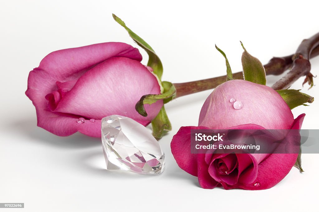 Two Pink Roses and Large Crystal Diamond  Color Image Stock Photo