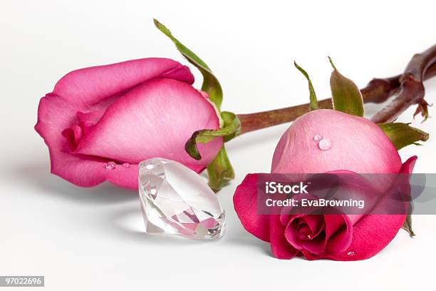 Two Pink Roses And Large Crystal Diamond Stock Photo - Download Image Now - Color Image, Crystal, Dew