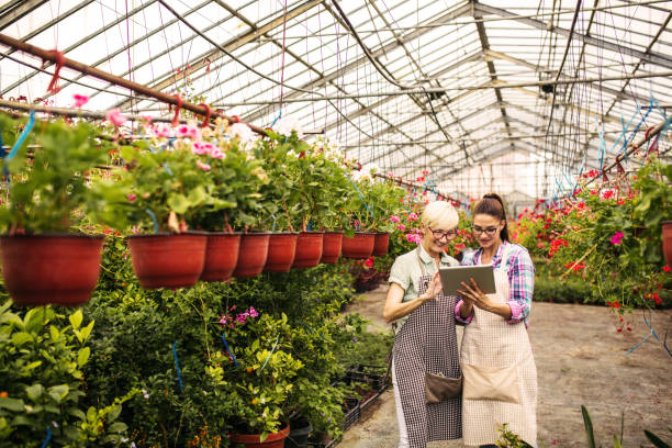 istock Young and senior women gardener 970228146