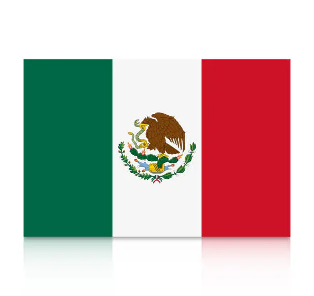 Vector illustration of Mexico flag icon with reflection isolated on white background.