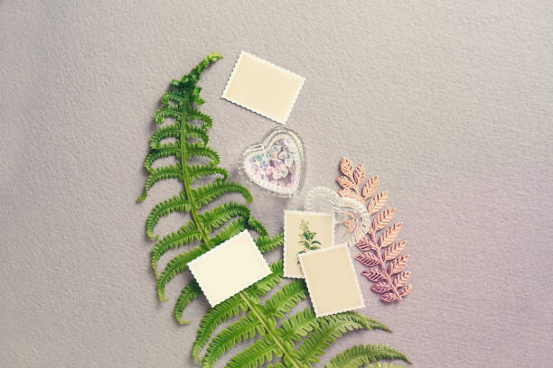 istock Fern on felt and paper labels 970231608