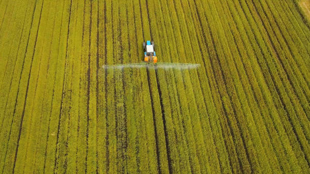 istock Tractor is spraying fertilizers field 970232164
