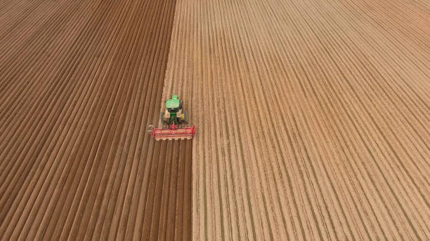 istock Farmer seeding, sowing crops at field 970232346