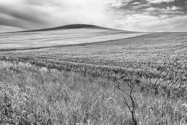 istock Basilicata countryside landscapes 970232716