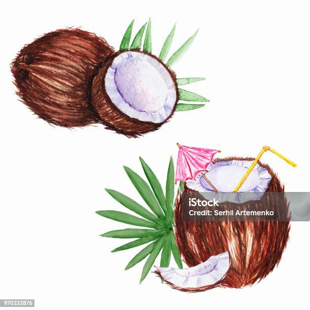Watercolor Coconut With Drinking Straw Stock Illustration - Download Image Now - Coconut, Drawing - Activity, Agriculture