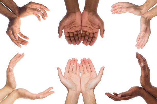 istock Set of multiethnic hands holding or offering something 970235892