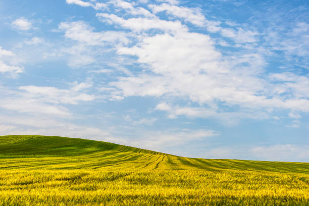 istock Basilicata countryside landscapes 970236172