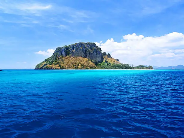 green tree on island in middle of the deep blue sea ocean