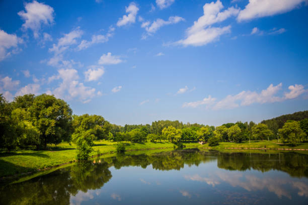istock Beautiful garden park from green tree near river side 970241798