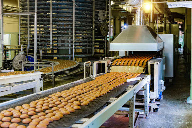 fabbrica di dolciumi. linea di produzione di biscotti da forno. - food processing plant manufacturing factory food foto e immagini stock