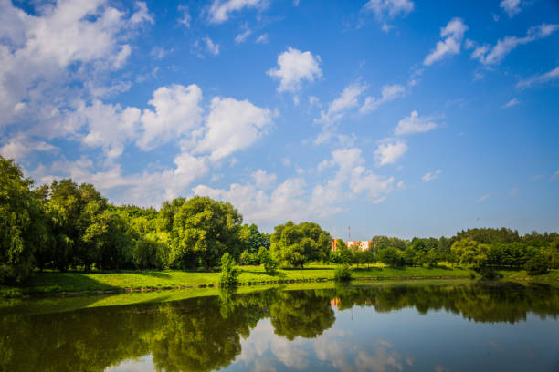 istock Beautiful garden park from green tree near river side 970244008