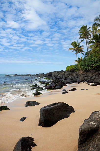 żółwiowa plaża, hawaje - north shore hawaii islands usa oahu zdjęcia i obrazy z banku zdjęć