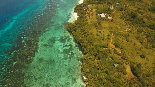istock Aerial view beautiful beach on a tropical island. Philippines, Anda area 970249622