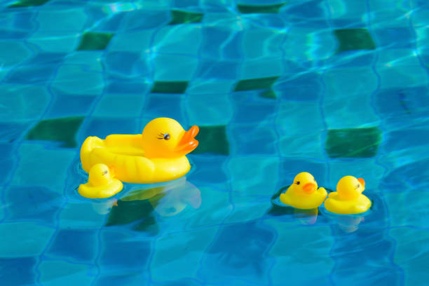 istock yellow duck floating in a swimming pool 970252760