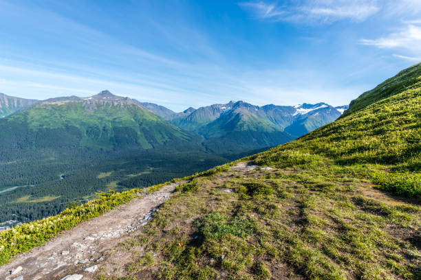 istock Hiking Along a Ridge on Alaska's Kenai Peninsula 970255962