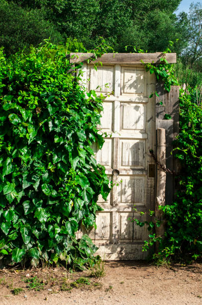 istock A door for enter to the garden 970270674