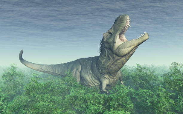 istock Dinosaur Tyrannosaurus Rex in the rainforest 970272254