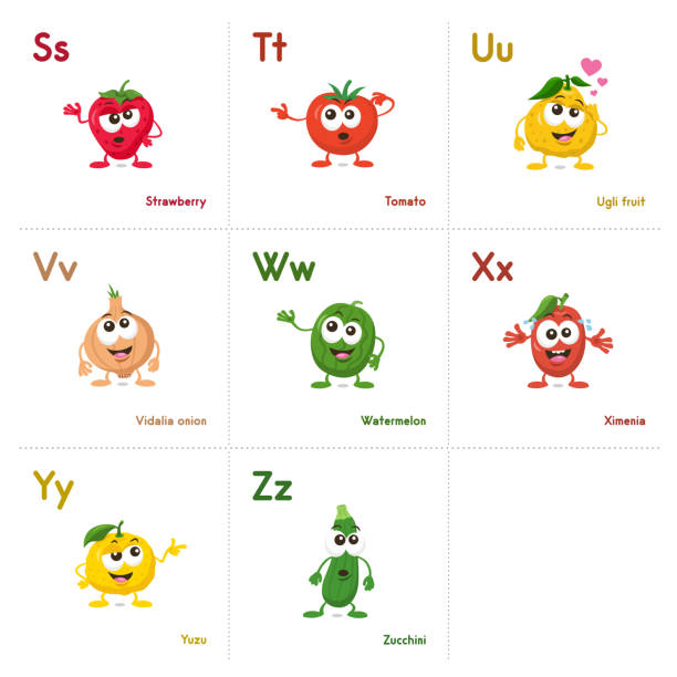 Illustration of fruit and vegetables alphabetical cards with funny mascots order from s to z Illustration of fruit and vegetables alphabetical cards with funny mascots order from s to z, isolated on light background. Learning alphabets can be fun now. vidalia onion stock illustrations