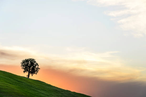 istock countryside landscapes in Val d'Agri, Basilicata 970289174