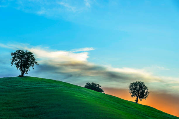 istock countryside landscapes in Val d'Agri, Basilicata 970291878